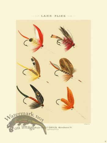 Favorite Flies 09 Lake